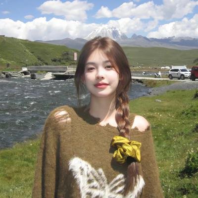 第四公民 海报